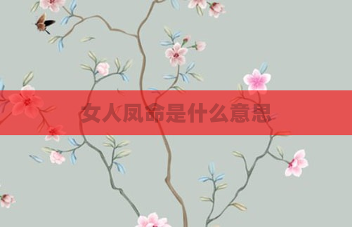 女人凤命是什么意思
