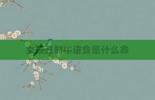 女孩丑时牛进食是什么命