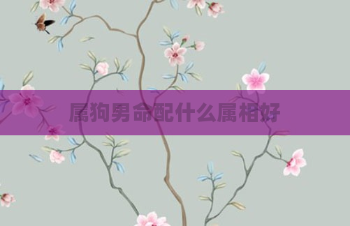 属狗男命配什么属相好