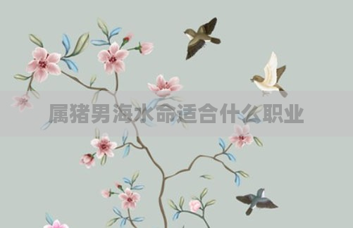 属猪男海水命适合什么职业