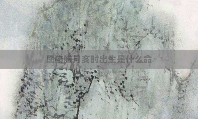 属猪腊月亥时出生是什么命