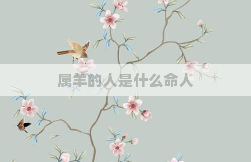 属羊的人是什么命人