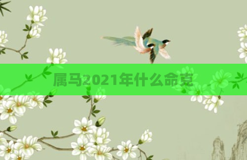 属马2021年什么命克