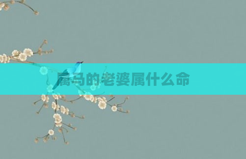 属马的老婆属什么命