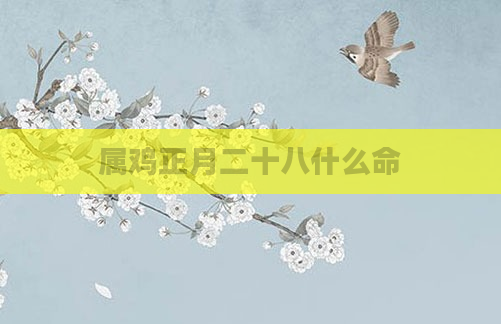 属鸡正月二十八什么命