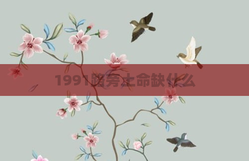1991路旁土命缺什么