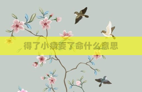 得了小病要了命什么意思