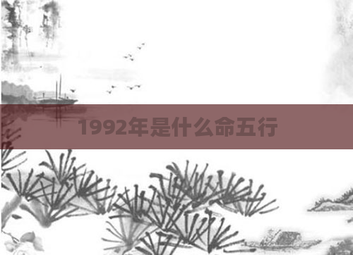 1992年是什么命五行
