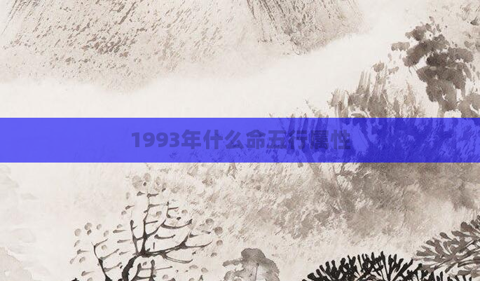 1993年什么命五行属性