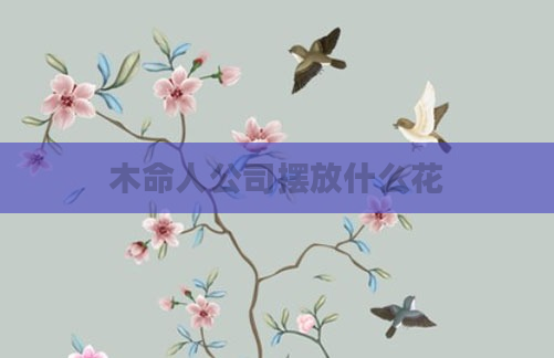 木命人公司摆放什么花