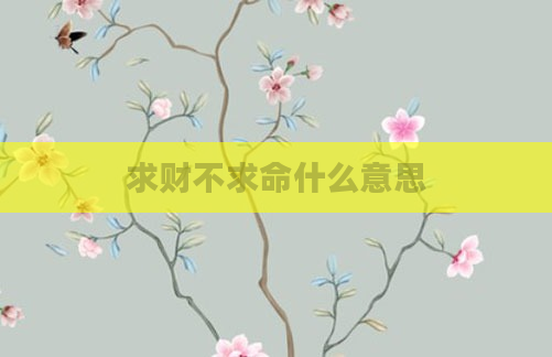 求财不求命什么意思