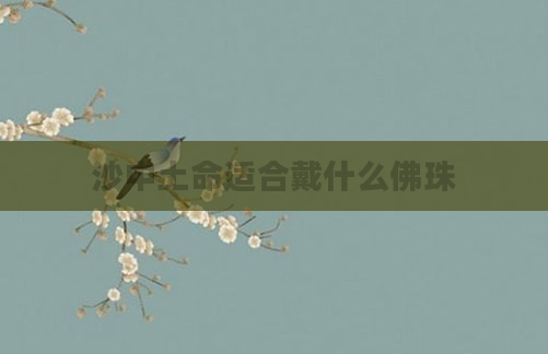 沙中土命适合戴什么佛珠