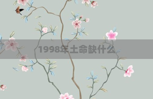 1998年土命缺什么