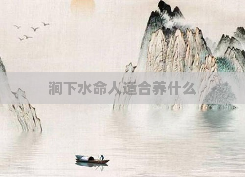 涧下水命人适合养什么