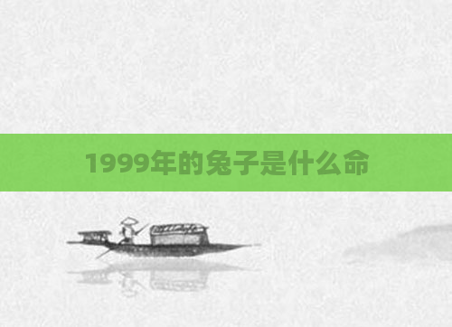 1999年的兔子是什么命