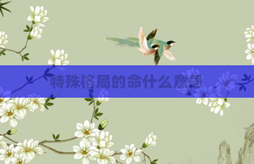 特殊格局的命什么意思
