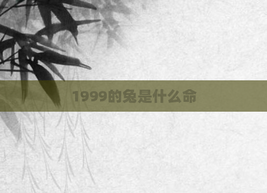 1999的兔是什么命