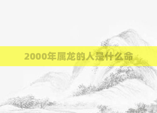 2000年属龙的人是什么命