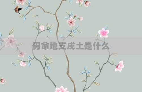 男命地支戌土是什么