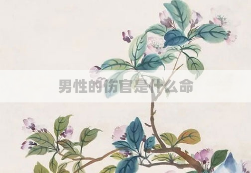 男性的伤官是什么命