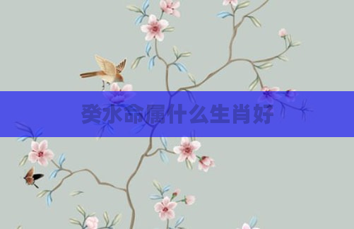 癸水命属什么生肖好