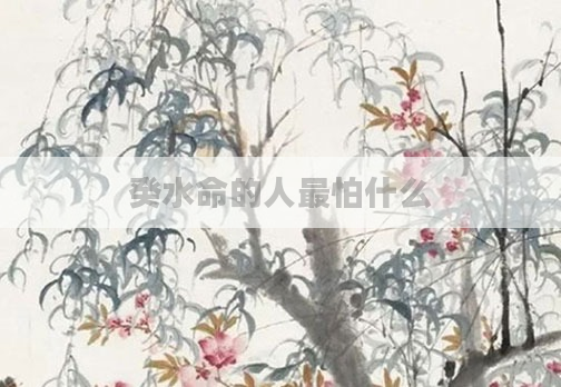 癸水命的人最怕什么