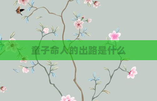 童子命人的出路是什么
