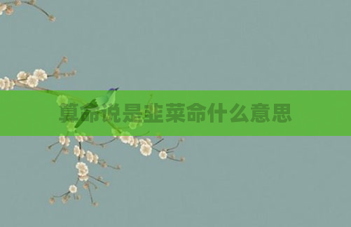 算命说是韭菜命什么意思