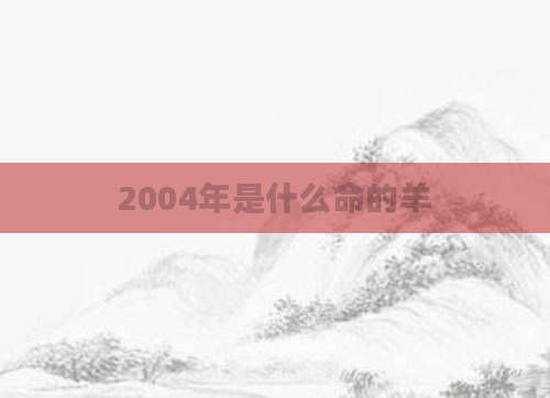 2004年是什么命的羊