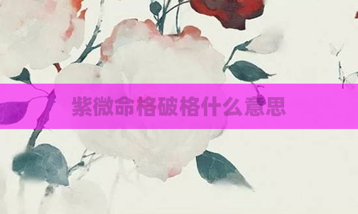 紫微命格破格什么意思