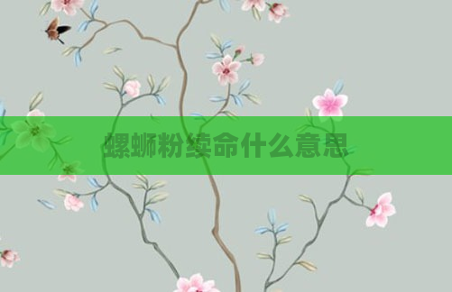 螺蛳粉续命什么意思