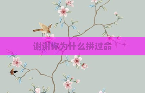 谢谢你为什么拼过命