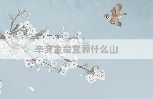 辛亥金命宜葬什么山