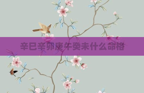 辛巳辛卯庚午癸未什么命格