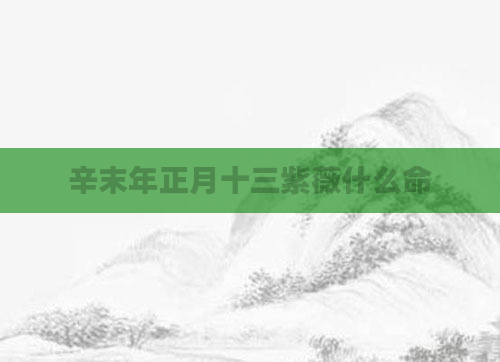 辛末年正月十三紫薇什么命