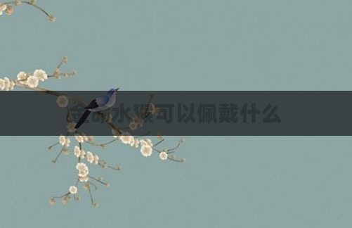 金命水猴可以佩戴什么