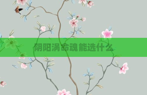 阴阳涡命魂能选什么