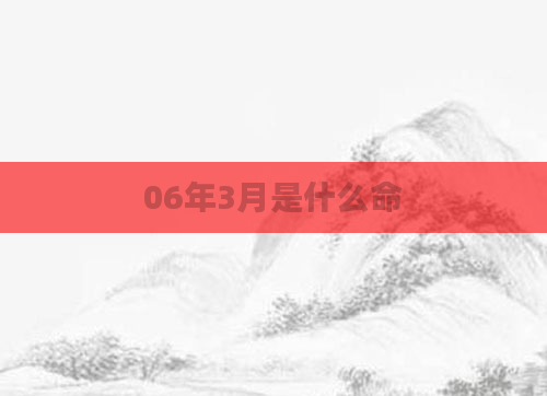 06年3月是什么命