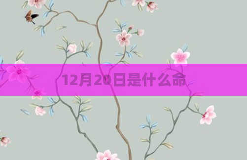 12月20日是什么命
