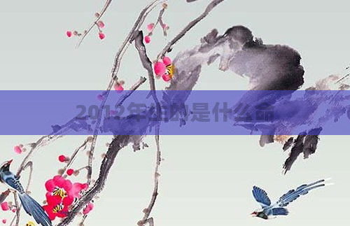 2012年生的是什么命