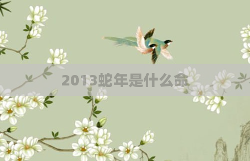 2013蛇年是什么命
