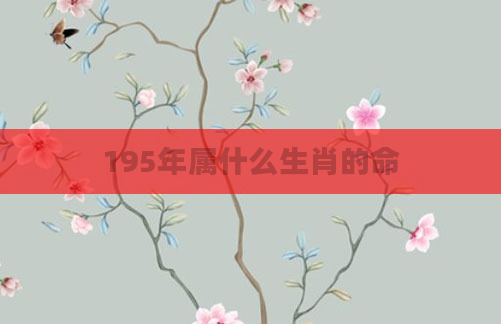 195年属什么生肖的命