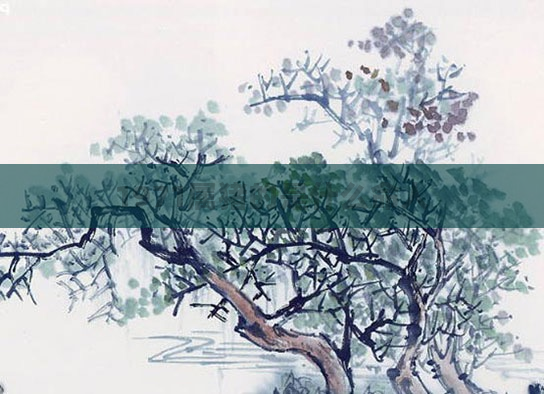 1971属猪的是什么命人