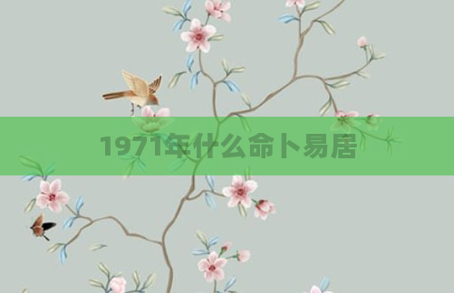 1971年什么命卜易居