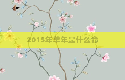 2015年羊年是什么命