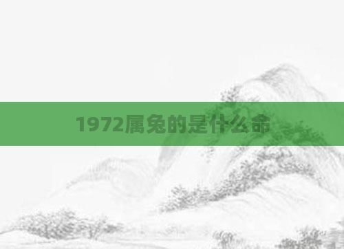 1972属兔的是什么命
