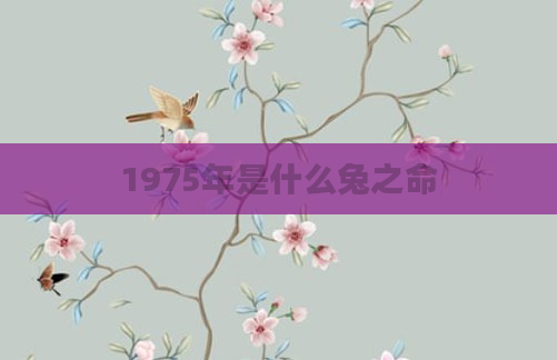 1975年是什么兔之命