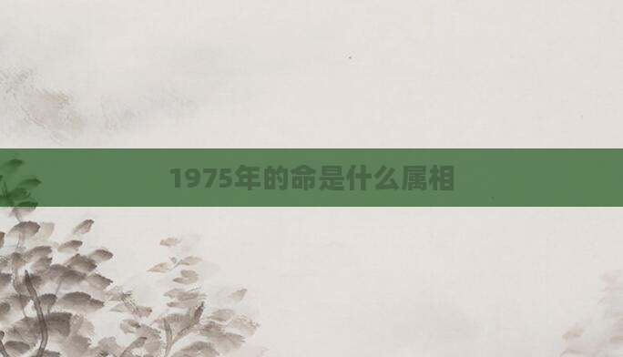 1975年的命是什么属相