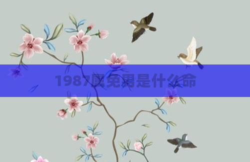1987属免男是什么命