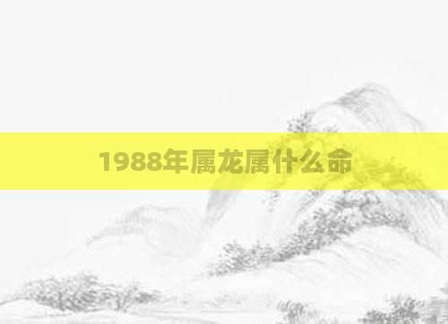 1988年属龙属什么命